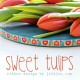 Webband Sweet Tulpis