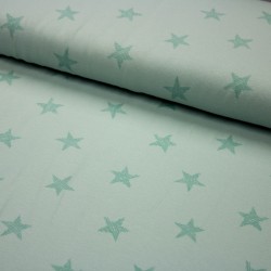 Baumwoll-Jersey Star mint